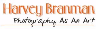 Harvey Branman